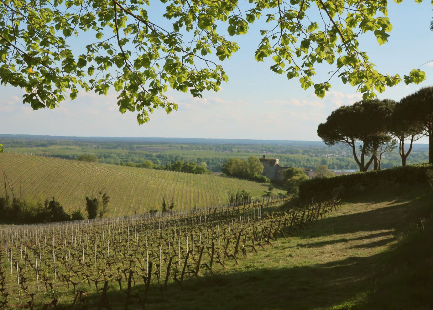 image retour en haut