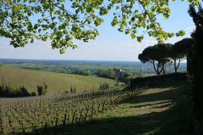 View from the Saint-Pierre-Es-Liens church in Haut-Langoiran